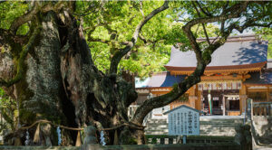 大山祇神社