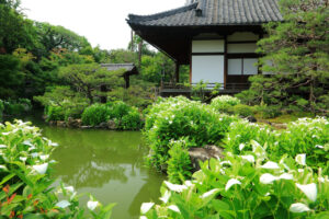 建仁寺・両足院