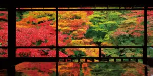 瑠璃光院