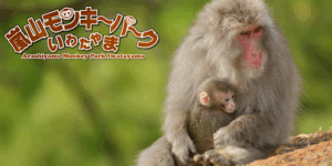 モンキーパーク