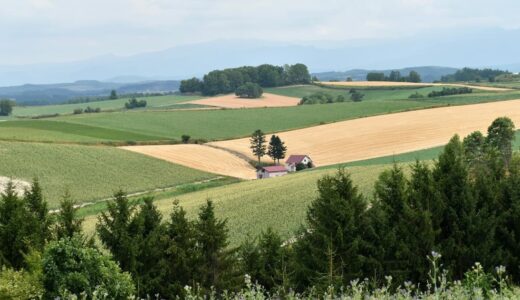 夏の北海道におすすめの観光エリア&スポット！モデルコースで巡る絶景と名所を紹介