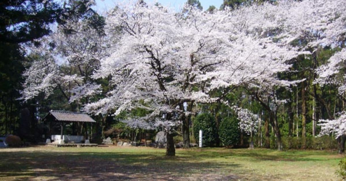 箕輪城跡