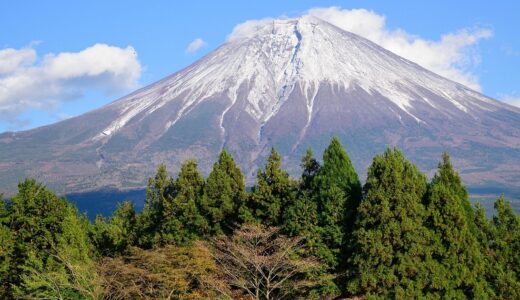 静岡県でしか買えないおすすめのお土産特集！絶品グルメ＆スイーツ35選を紹介