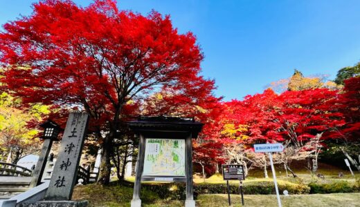 会津の歴史と四季を感じる場所——「土津神社」でつながる人とまちの記憶
