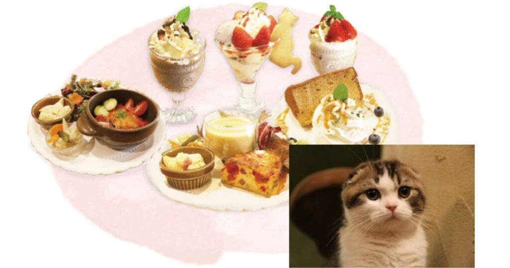 Cat Cafe てまりのおしろ