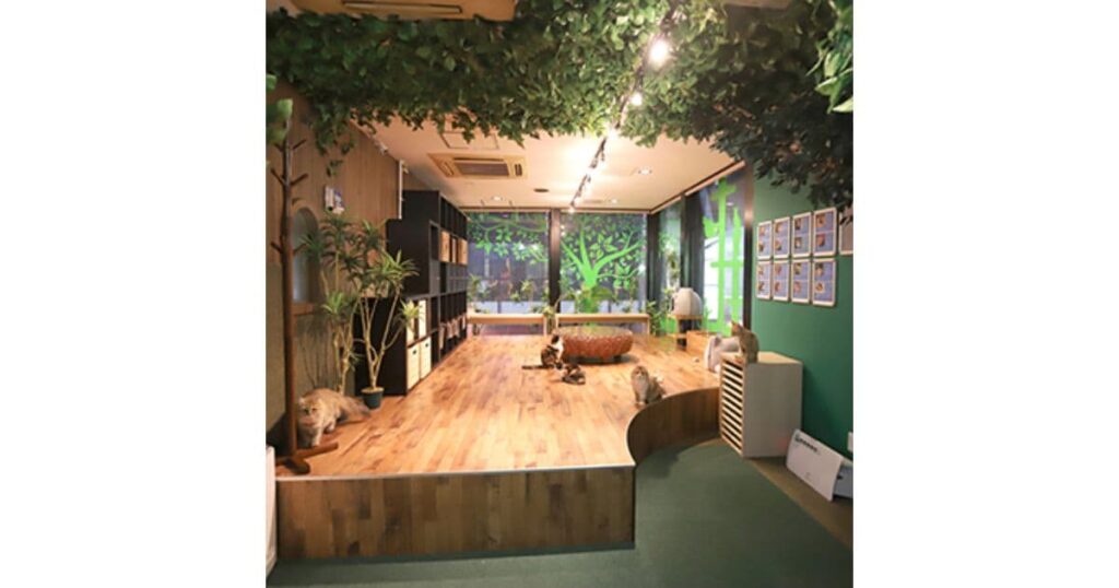 猫喫茶 空陸家赤坂ジャングル店