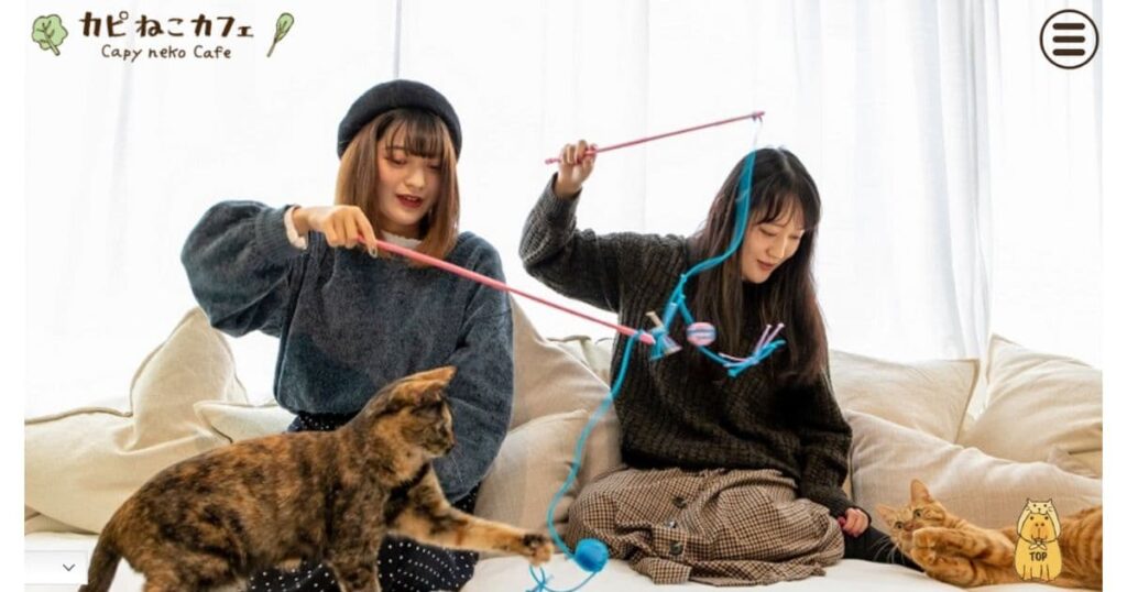 カピねこカフェ吉祥寺