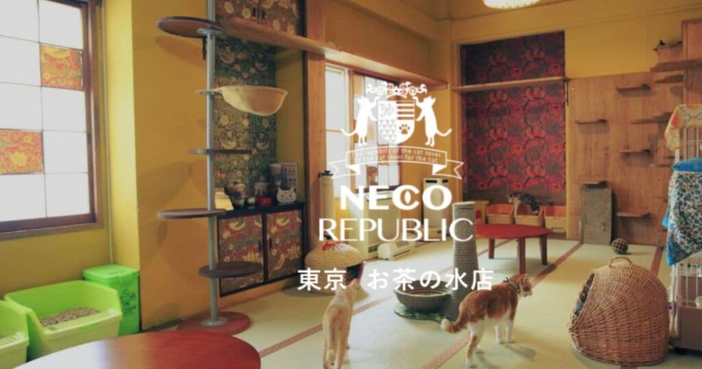 ネコリパブリック 東京お茶の水店