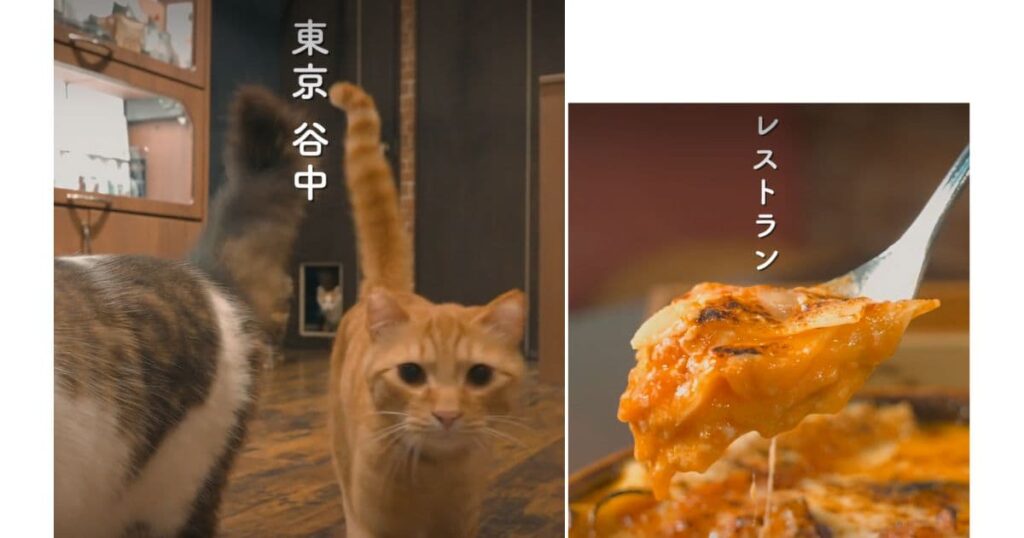 宿木カフェ＆レストラン