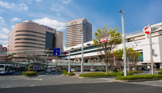 千葉県でしか買えないお土産特集！ばらまきお菓子から人気のピーナッツ菓子、雑貨まで紹介