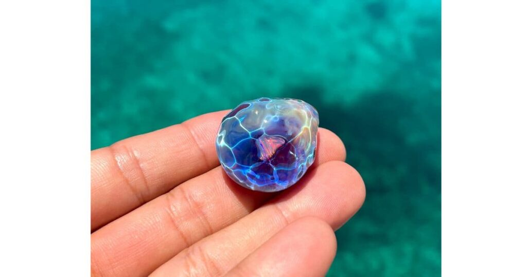 GuruGuruGlass ウミノカケラ