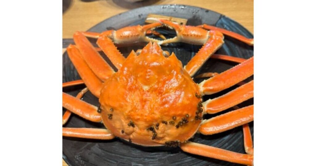 越前海鮮処　蟹かに亭