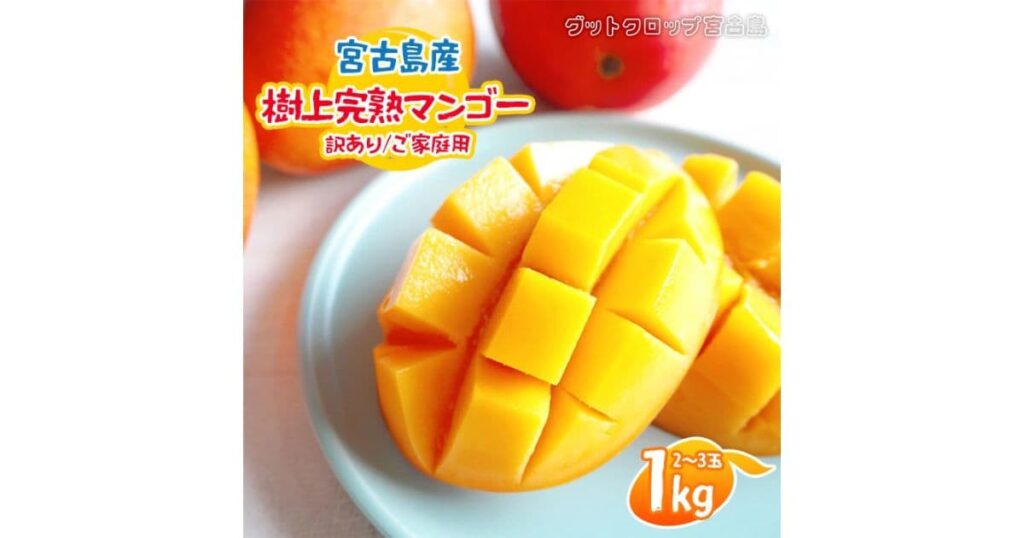 宮古島マンゴー