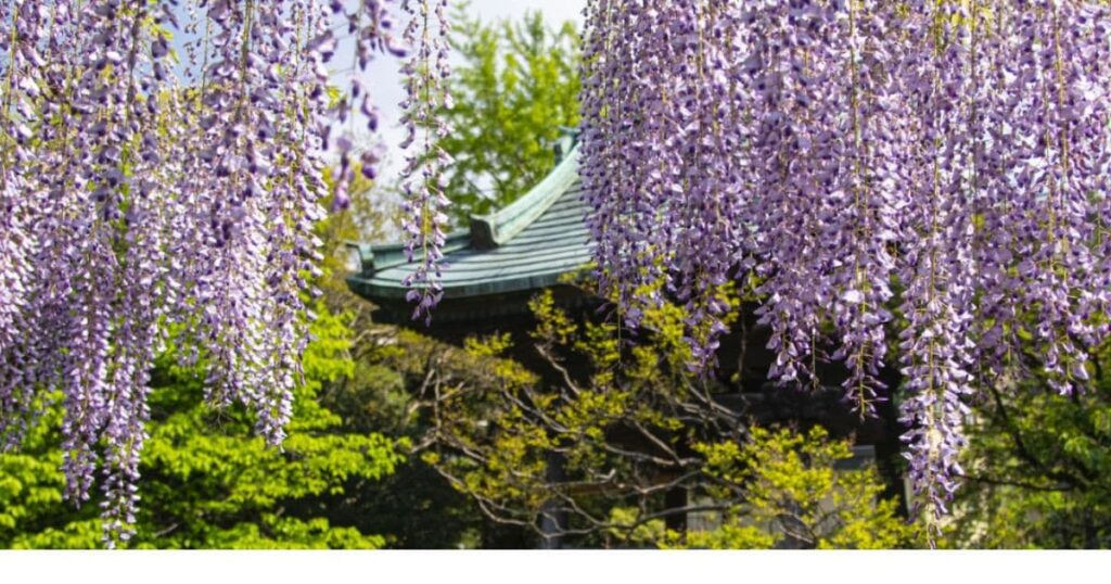 西新井大師(東京・足立区)