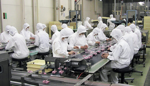 山梨の銘菓「桔梗信玄餅」を味わえるお菓子のテーマパーク