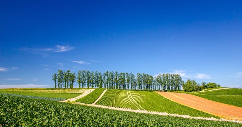 高校生の卒業旅行はいつの時期がおすすめですか?