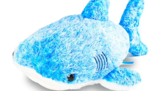 美ら海水族館で買えるおすすめのお土産特集！ばらまきお菓子やジンベイザメの限定グッズなど紹介