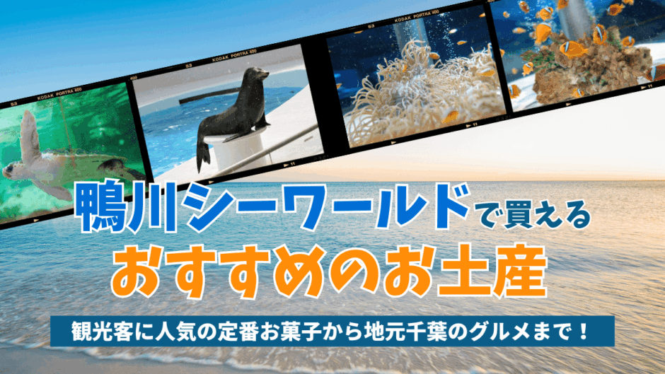 鴨川シーワールドで買えるおすすめのお土産🐬キーホールだーなどの雑貨からばらまきお菓子まで