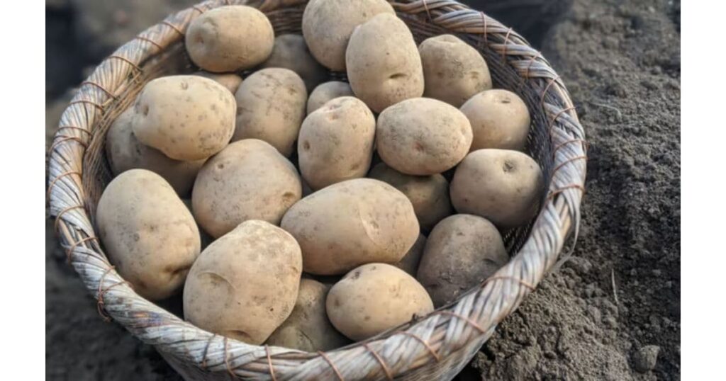 近江屋 ながおか（上野原市）