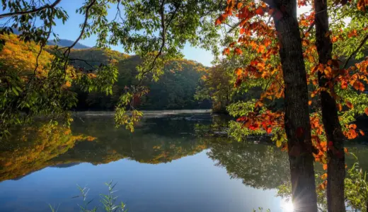 旅を通じて「あたたかいつながり」を紡ぐ。福島県・裏磐梯発、会津地域を巡る完全プライベートツアー――あなただけの会津旅を叶える「旅の糸」誕生