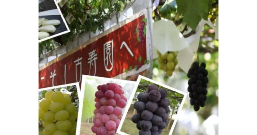 古寿園（甲府市）