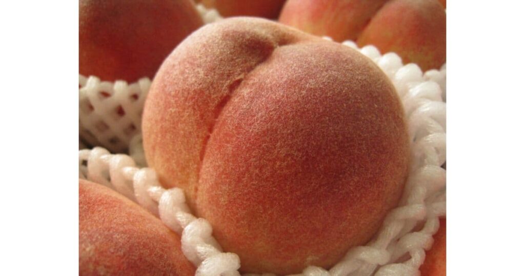 風土記の丘 農産物直売所（甲府市）