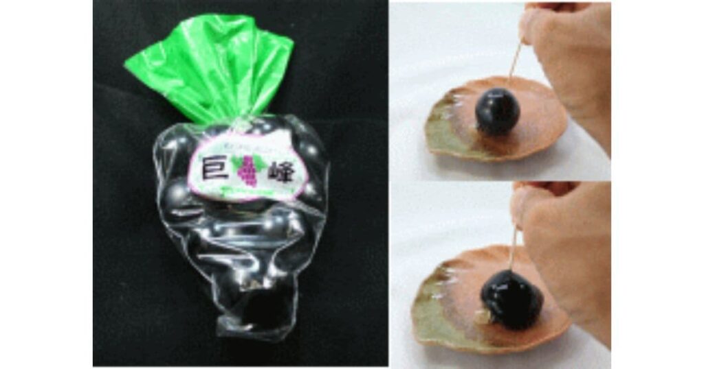 山の廻船問屋（甲府市）